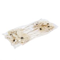 Artikel Träblomma som plugg, blekt Ø9-12cm L45cm 15 st.