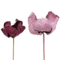 Artikel Träblomma, palmbägare mix rosa-erika 25 st
