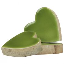 Artikel Trähjärtan dekorativa hjärtan trä ljusgrön blank effekt 4,5cm 8st