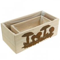 Artikel Planteringsset, trälådor med svamp, höstdekoration patina L40/30cm set om 2