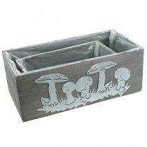 Artikel Trälåda set padda, höstdekorationer, trädgårdsdekorationer, växtlådor L40 / 30cm, uppsättning 2