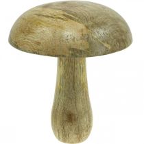 Träsvamp natur, gul trädekoration höstdeco svamp 15×13cm