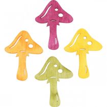 Spridda svampar, höstdekorationer, lyckliga svampar att dekorera apelsin, gul, grön, rosa H3.5 / 4cm B4 / 3cm 72st