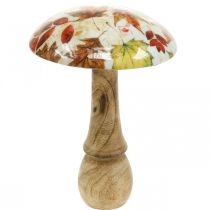 Artikel Träsvamp deco höstlöv vita, färgglad höstdekoration Ø13cm H19cm