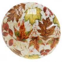 Artikel Träsvamp deco höstlöv vita, färgglad höstdekoration Ø13cm H19cm