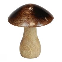 Träsvampdekoration naturlig brun glanseffekt Ø10cm H12cm