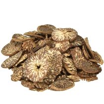 Artikel Träskivor dekorativa betelnötsskivor areca 1-3,5 cm 300 g