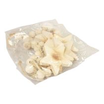 Artikel Trästjärndekoration dekorativ hängare trästjärndekoration bränd 8×8×1cm