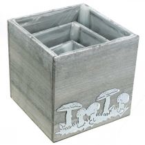 Artikel Träkuber med svamp, höstdekoration, växtlåda 20/16/12 cm, uppsättning 3