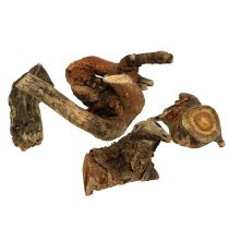 Artikel Trärot natur 6cm-13cm 500g