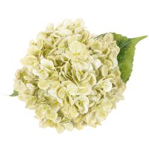 Artikel Konstgjord hortensia med lång stjälk och blad, 60 cm
