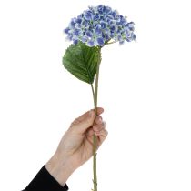 Artikel Blommande hortensiagren för elegant heminredning, 80 cm, 2 stycken