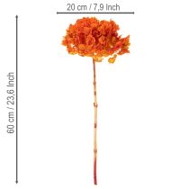 Artikel Hortensia, konserverad och färgad, stor blomning med lång stjälk, 60 cm