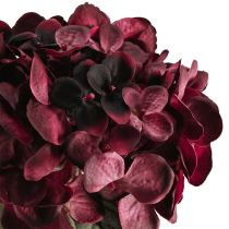 Artikel Hortensia konstgjorda blommor Bordeaux 52cm