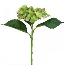Artikel Konstgjord hortensia, blomsterdekoration, sidenblomma grön L44cm