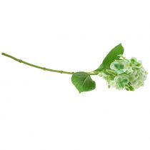 Artikel Hortensia konstgjord grön, vit 68cm