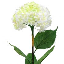 Hortensia vit konstgjord 80 cm
