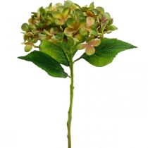 Hortensia konstgjord Grön, Gul konstgjord blomma H35cm