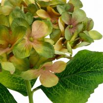 Artikel Hortensia konstgjord Grön, Gul konstgjord blomma H35cm