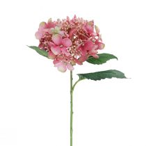 Artikel Hortensia konstgjord rosa och grön trädgårdsblomma med knoppar 52cm