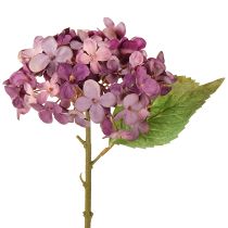 Artikel Konstgjorda hortensior Lila konstgjorda blommor hortensia 34cm 2st