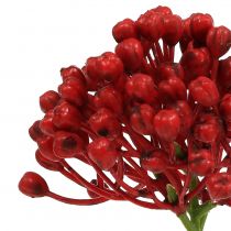 Artikel Hydrangea bud pick 22cm röd 12st