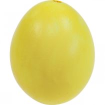 Artikel Påskägg Gula Blåsta ägg Kycklingägg 5,5cm 10st