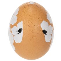 Artikel Påskäggshängande dekoration, vår, påsk, riktiga hönsägg, naturliga, 6 cm, 6 stycken