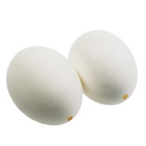 Artikel Kycklingägg vita 10 st