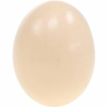 Artikel Kycklingäggkräm Påskdekoration Blåsta ägg 10st