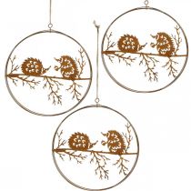 Metallhängare, igelkott på gren, höstdekoration, dekorativ ring, rostfritt stålram Ø15,5cm 3st