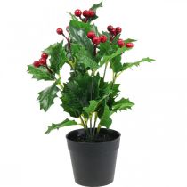 Järnek i kruka konstgjorda växter Ilex konstgjorda 26cm