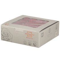 Artikel Infinity Roses Riktiga Blommor Mini Roshuvuden Röda Ø3cm 16 st