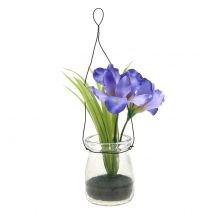Artikel Iris lila i ett glas för att hänga H21,5cm