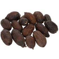 Artikel Kakaofrukt, naturlig, 10-18 cm, 15 bitar