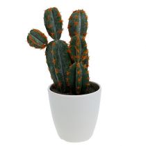 Konstgjorda kaktusar i kruka 20cm