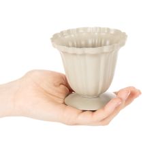 Artikel Dekorativ skål, krämfärgad trofé, liten, 10 cm