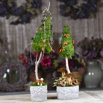 Plantor med ekollon och löv, planterings keramik grön, vit, grå Ø17cm H9.5cm uppsättning av 3