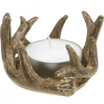 Värmeljushållare ljusstake horn guld H7cm Ø10cm 2st