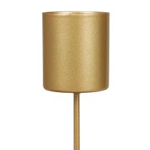 Artikel Ljusstake thorn ljusstake pinne guld 3,5×4cm 4st