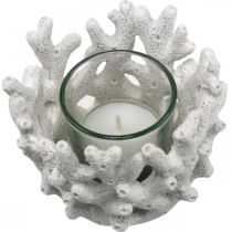 Lykta med glas i koralldesign maritim dekoration vit konstgjord Ø9,5cm 2st