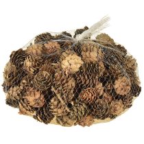 Artikel Kottar, naturliga små kottdekorationer i nät 2,5-3,5 cm 300 g