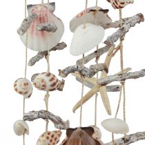 Artikel Wind chime maritima sjöstjärna skal 80cm