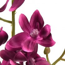 Artikel Liten orkidé Phalaenopsis konstgjord blomma mörklila 30cm