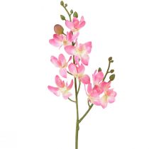 Liten Orkidé Phalaenopsis Konstgjord Blomma Rosa 30cm