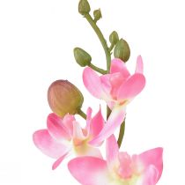 Artikel Liten Orkidé Phalaenopsis Konstgjord Blomma Rosa 30cm