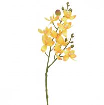 Artikel Liten orkidé Phalaenopsis artificiell gul 30cm