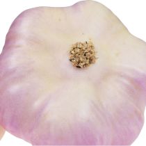 Artikel Konstgjorda grönsaker dekoration vitlöksrosa, vit Ø6,5cm 2 st