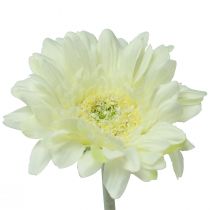Artikel Konstgjorda blommor Gerbera Vit 45cm
