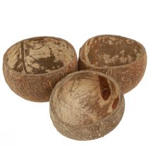 Artikel Kokosskål naturlig dekorativ kokosskål halverad 10cm 6 st